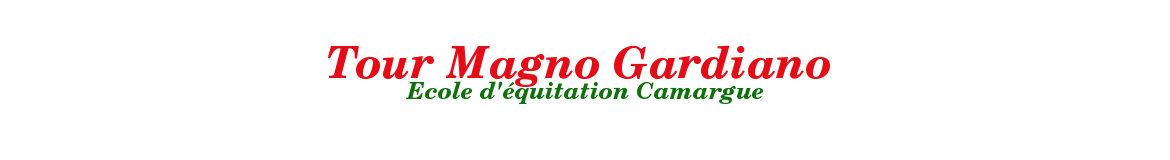 Tour Magno Gardiano
